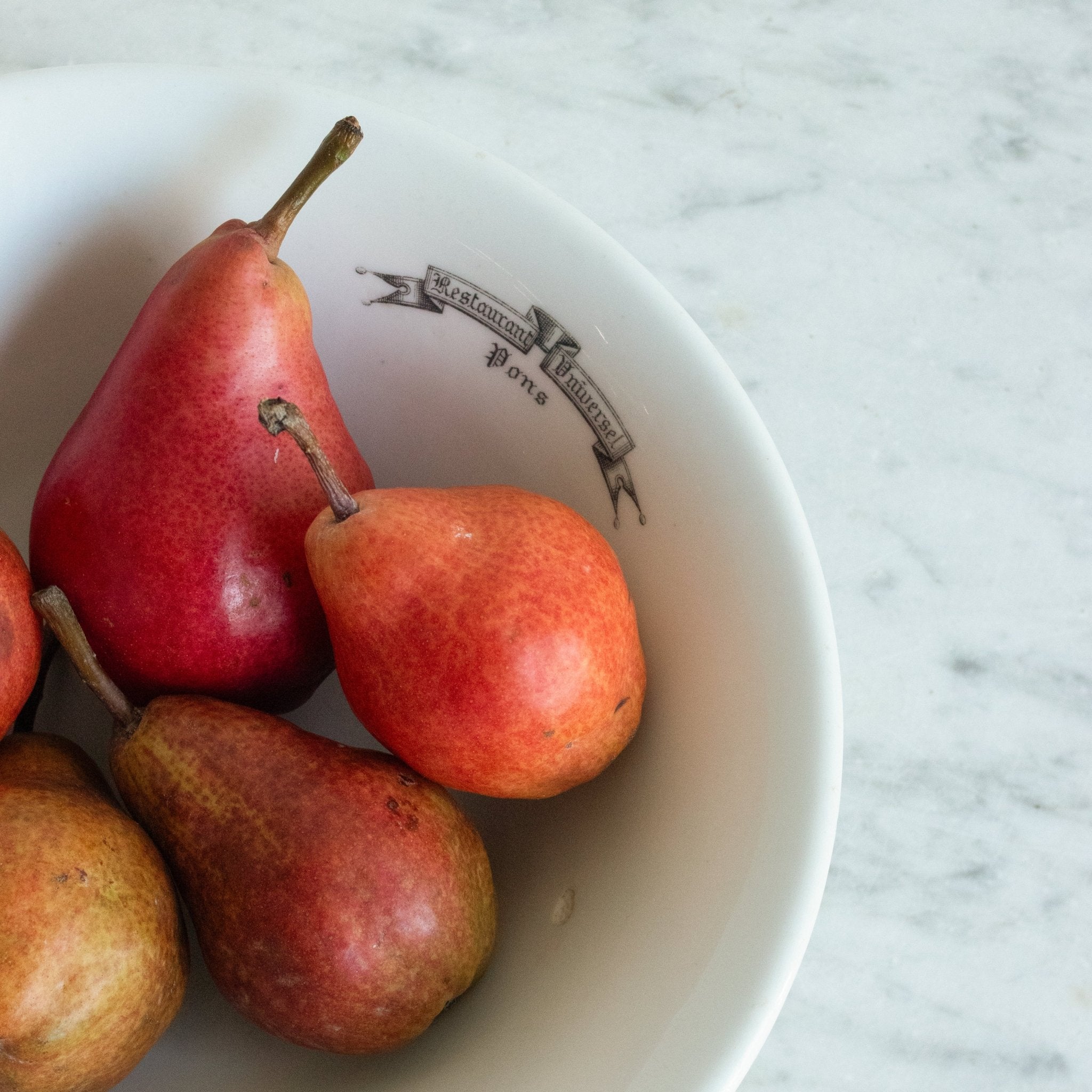 Restaurant Universel Porcelain Serving Bowl - elsie green - The French Kitchen