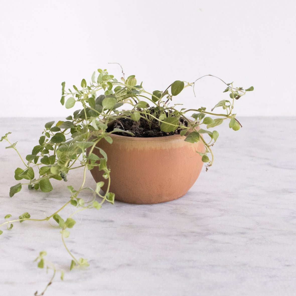 RhodaCeram Collection | Ashtray - elsie green - decor