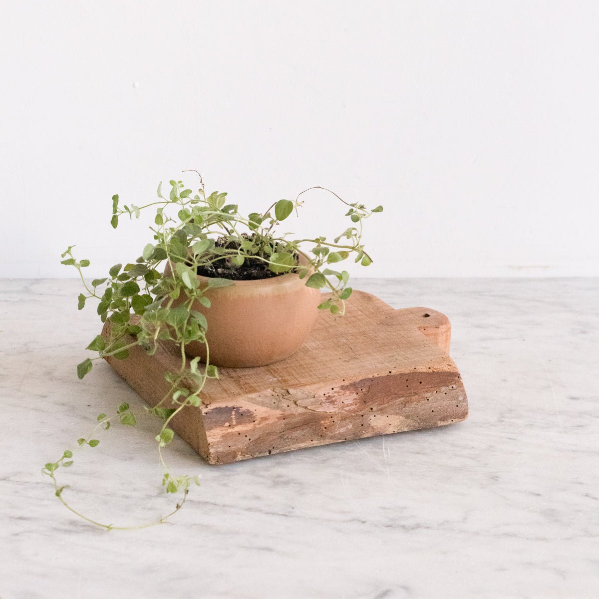 RhodaCeram Collection | Ashtray - elsie green - decor