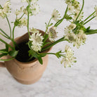 RhodaCeram Stoneware Pitcher - elsie green - the french kitchen