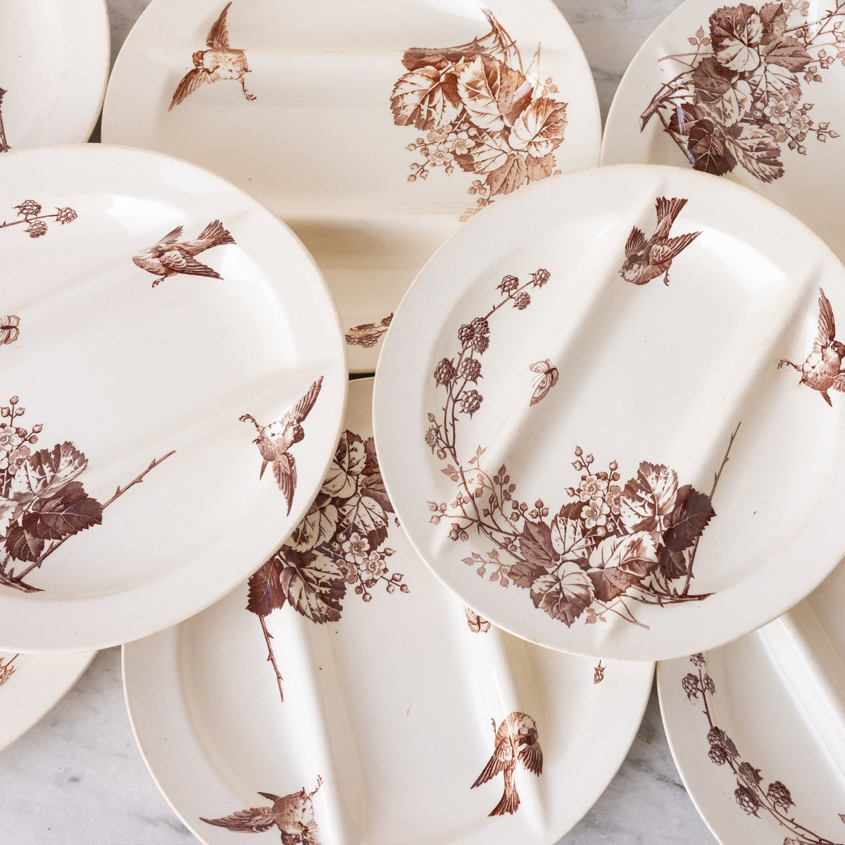Ronce Transferware Asparagus Plate Set of 10 - elsie green -
