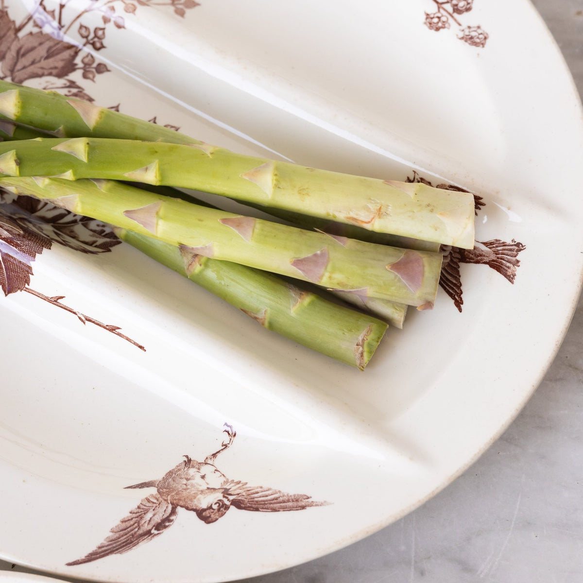 Ronce Transferware Asparagus Plate Set of 10 - elsie green -