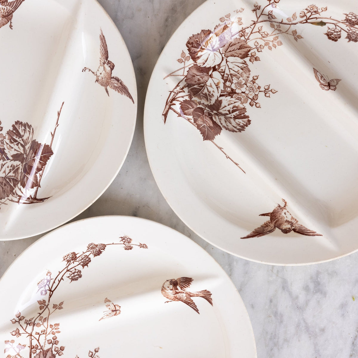 Ronce Transferware Asparagus Plate Set of 10 - elsie green -