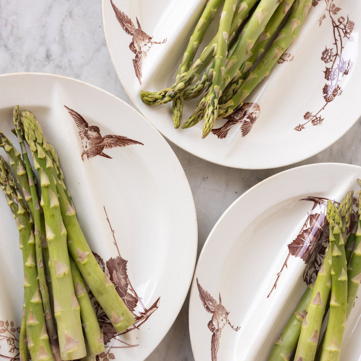 Ronce Transferware Asparagus Plate Set of 10 - elsie green -
