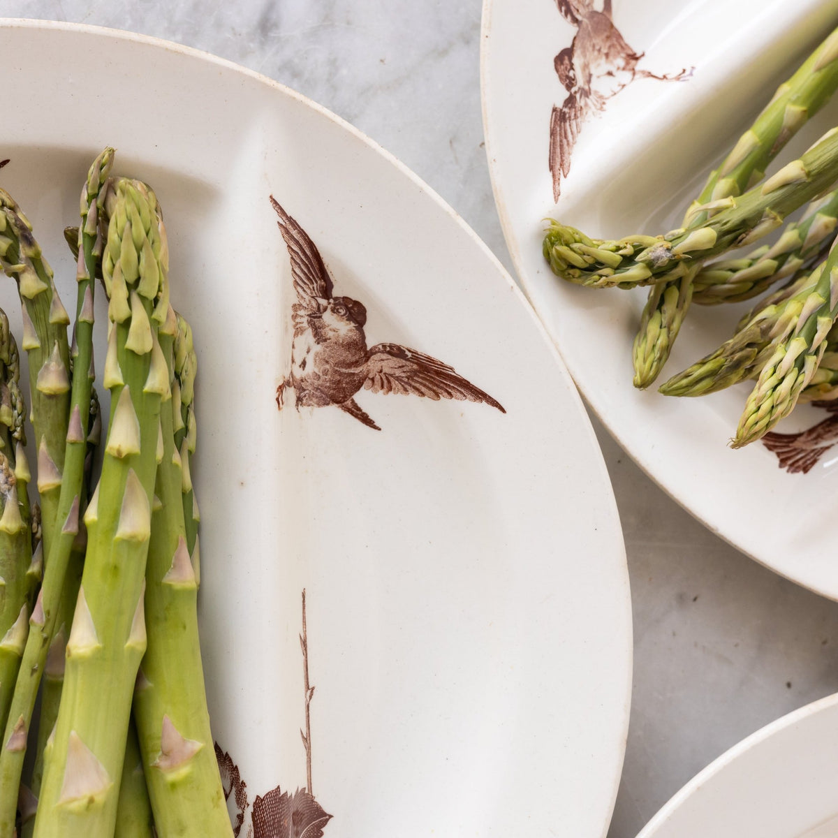 Ronce Transferware Asparagus Plate Set of 10 - elsie green -