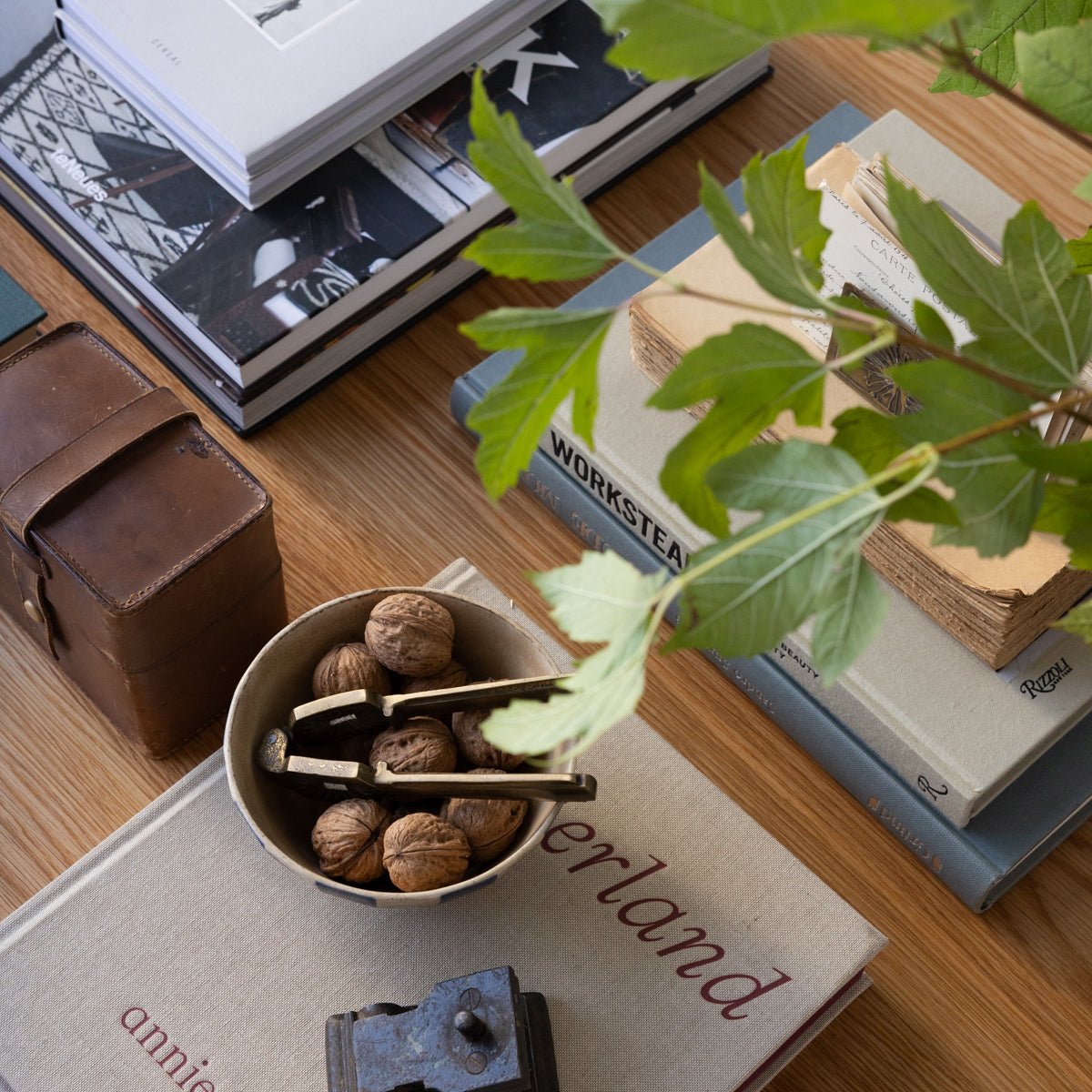 Rooted Oak Coffee Table - elsie green - furniture