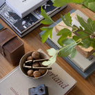 Rooted Oak Coffee Table - elsie green - furniture
