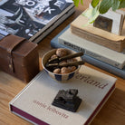 Rooted Oak Coffee Table - elsie green - furniture