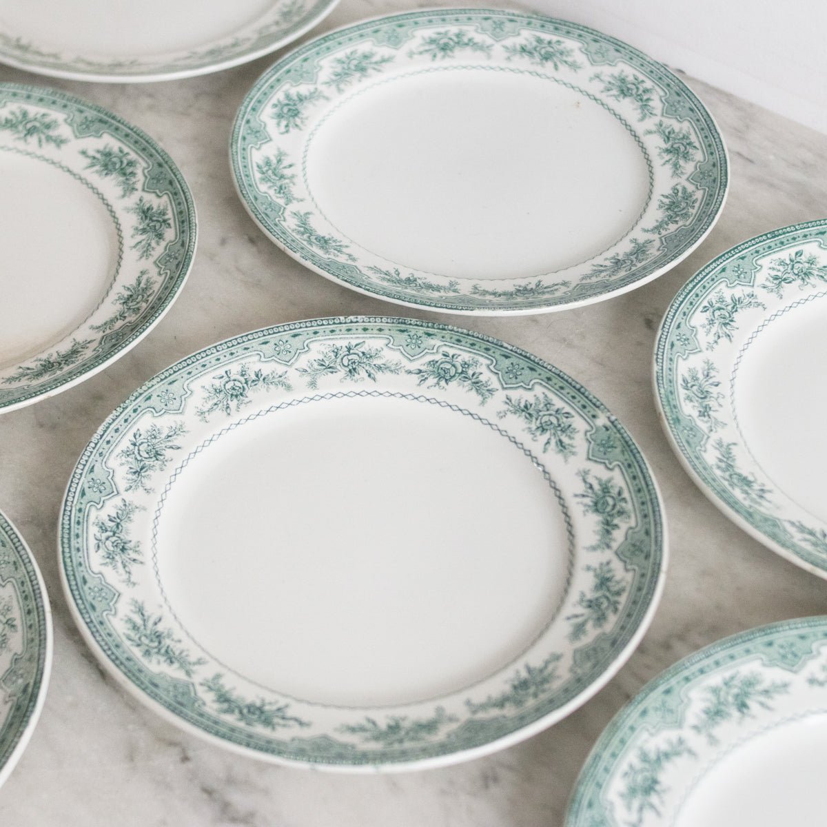 Roses Mousses Dinner Plate Set of 14 - elsie green - The French Kitchen