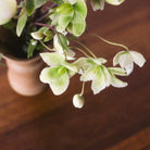 Round Walnut Pedestal Table - elsie green - Furniture