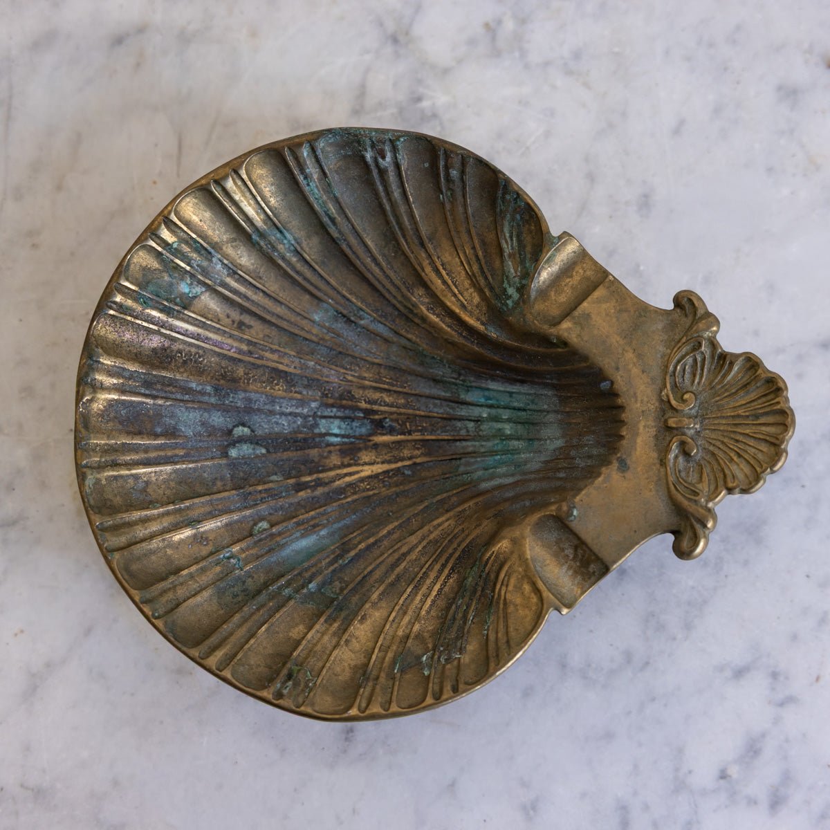 Shell Vide Poche - elsie green - decor
