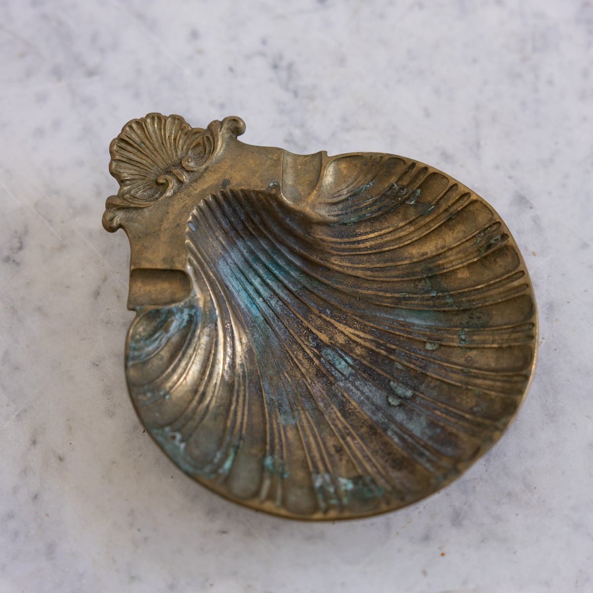 Shell Vide Poche - elsie green - decor
