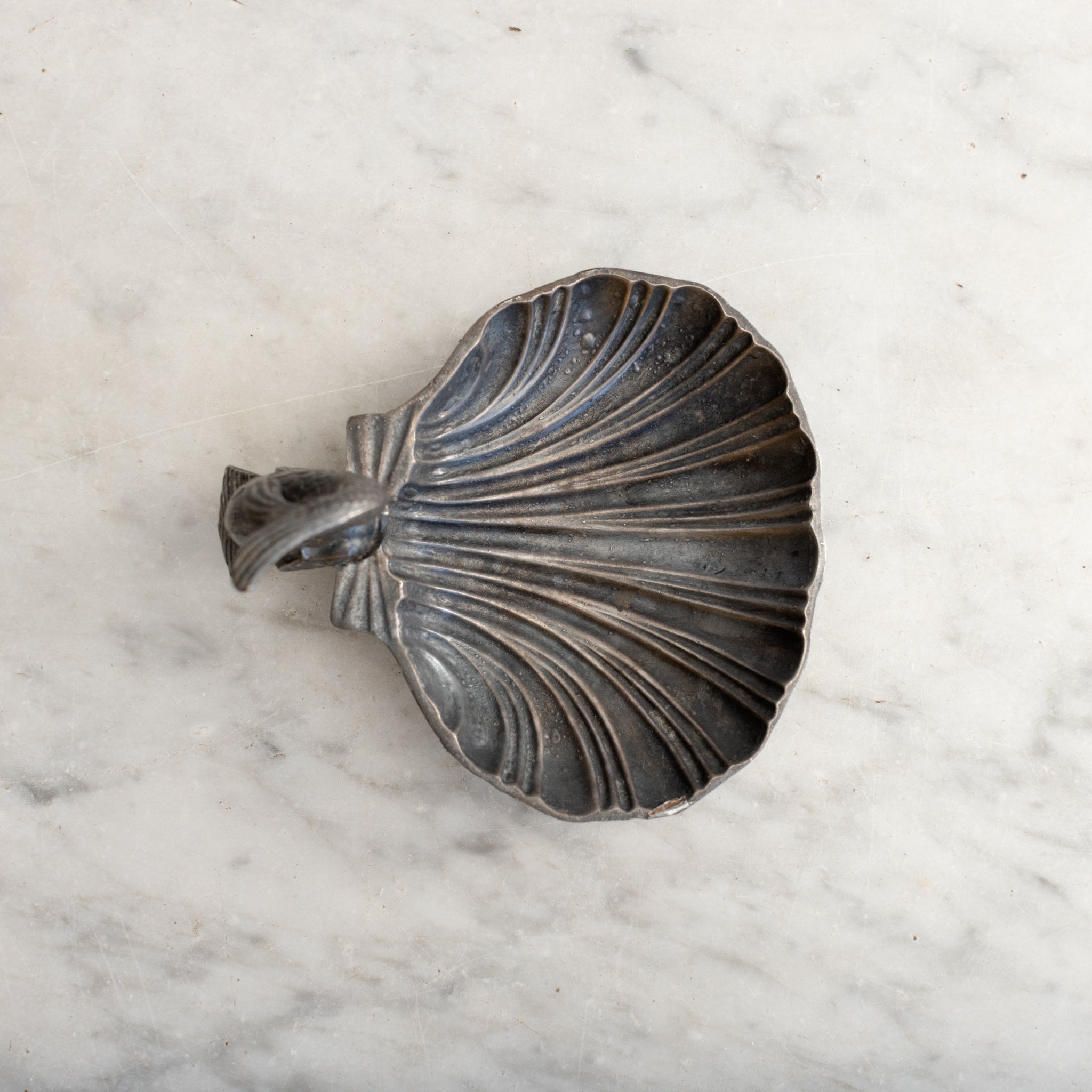 Shell Vide Poche - elsie green - decor