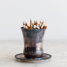 Silver Match Caddy with Silver Coaster - elsie green - Decor