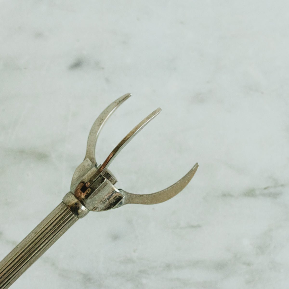 Silver Plated Ice Grabber - elsie green - The French Kitchen