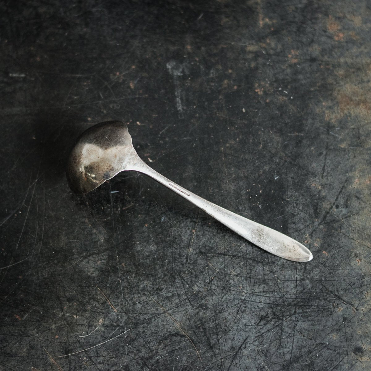 Silver Rim Cafe Bowl w/ Silver Serving Spoon - elsie green - The French Kitchen