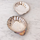 Silver Shell Tray - elsie green - the french kitchen