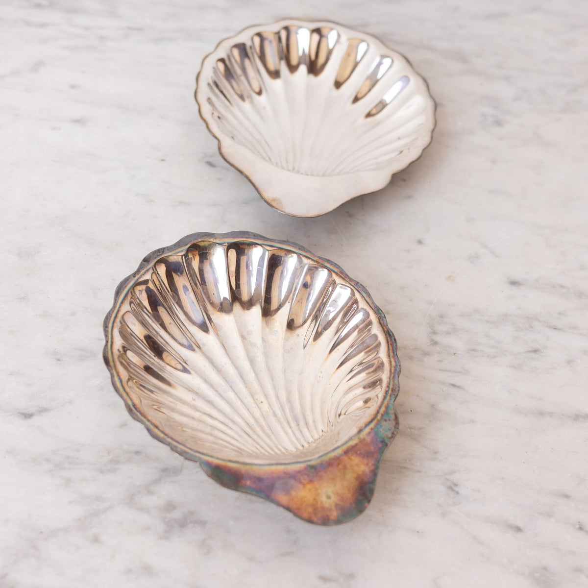 Silver Shell Tray - elsie green - the french kitchen