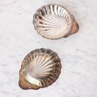 Silver Shell Tray - elsie green - the french kitchen