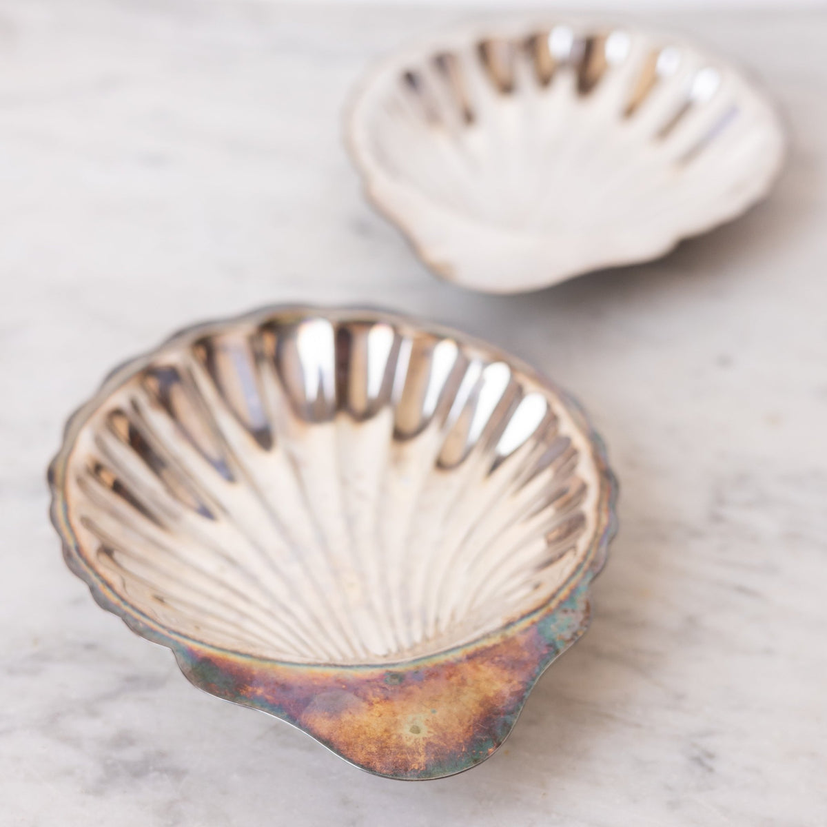 Silver Shell Tray - elsie green - the french kitchen