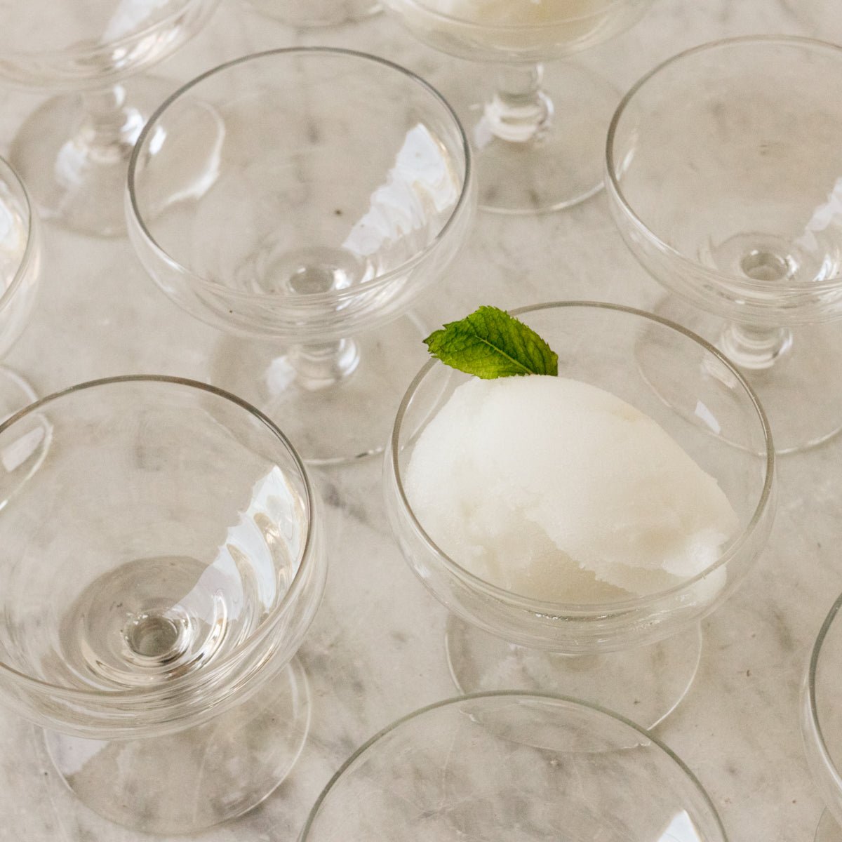 Simple Dessert Coupe Set of 5 - elsie green - the french kitchen