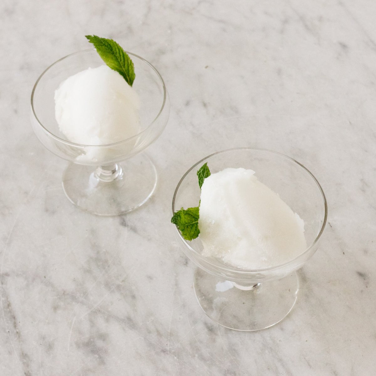 Simple Dessert Coupe Set of 5 - elsie green - the french kitchen