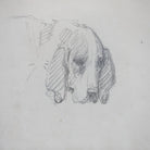 Simple Dog in Pencil Drawing - elsie green - art