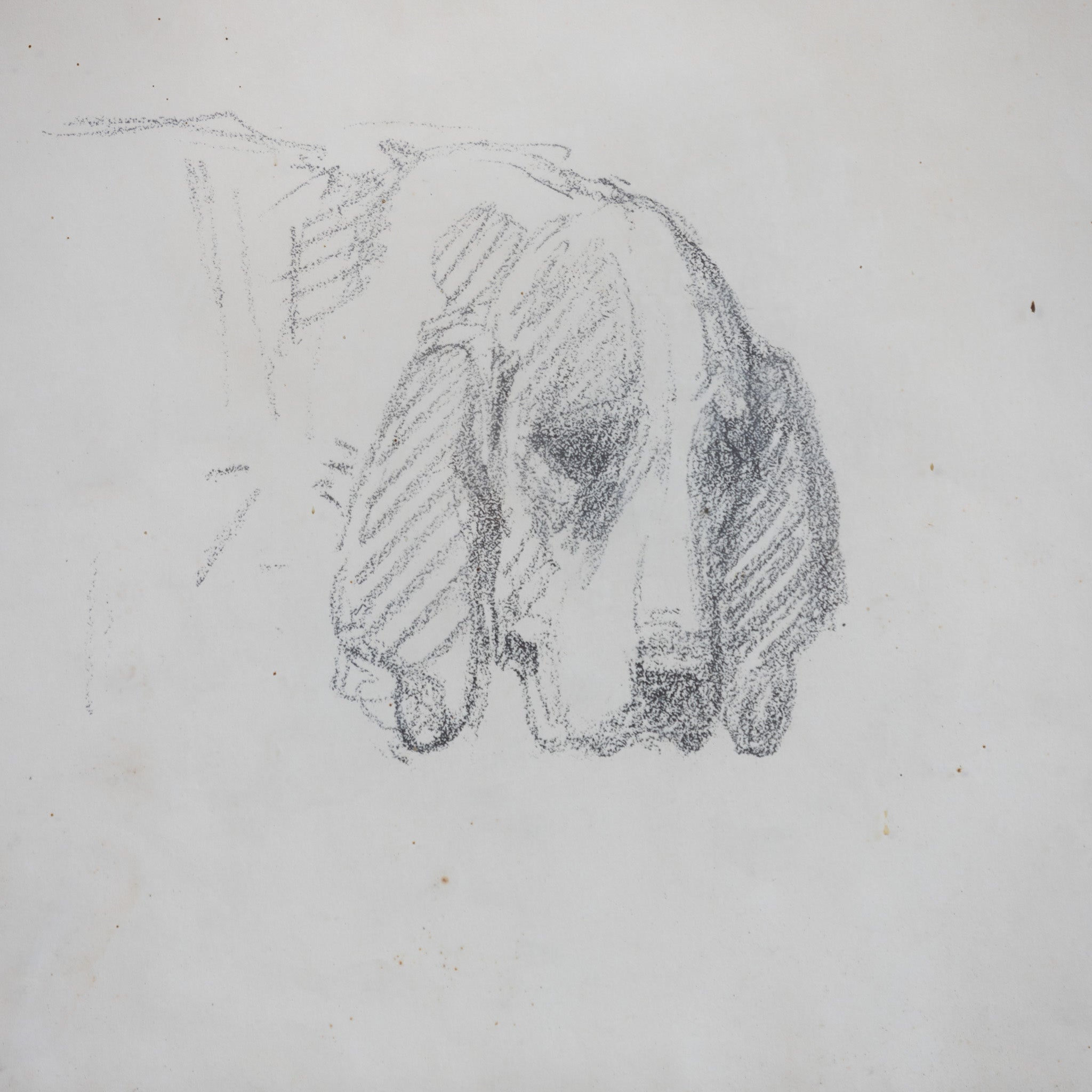 Simple Dog in Pencil Drawing - elsie green - art