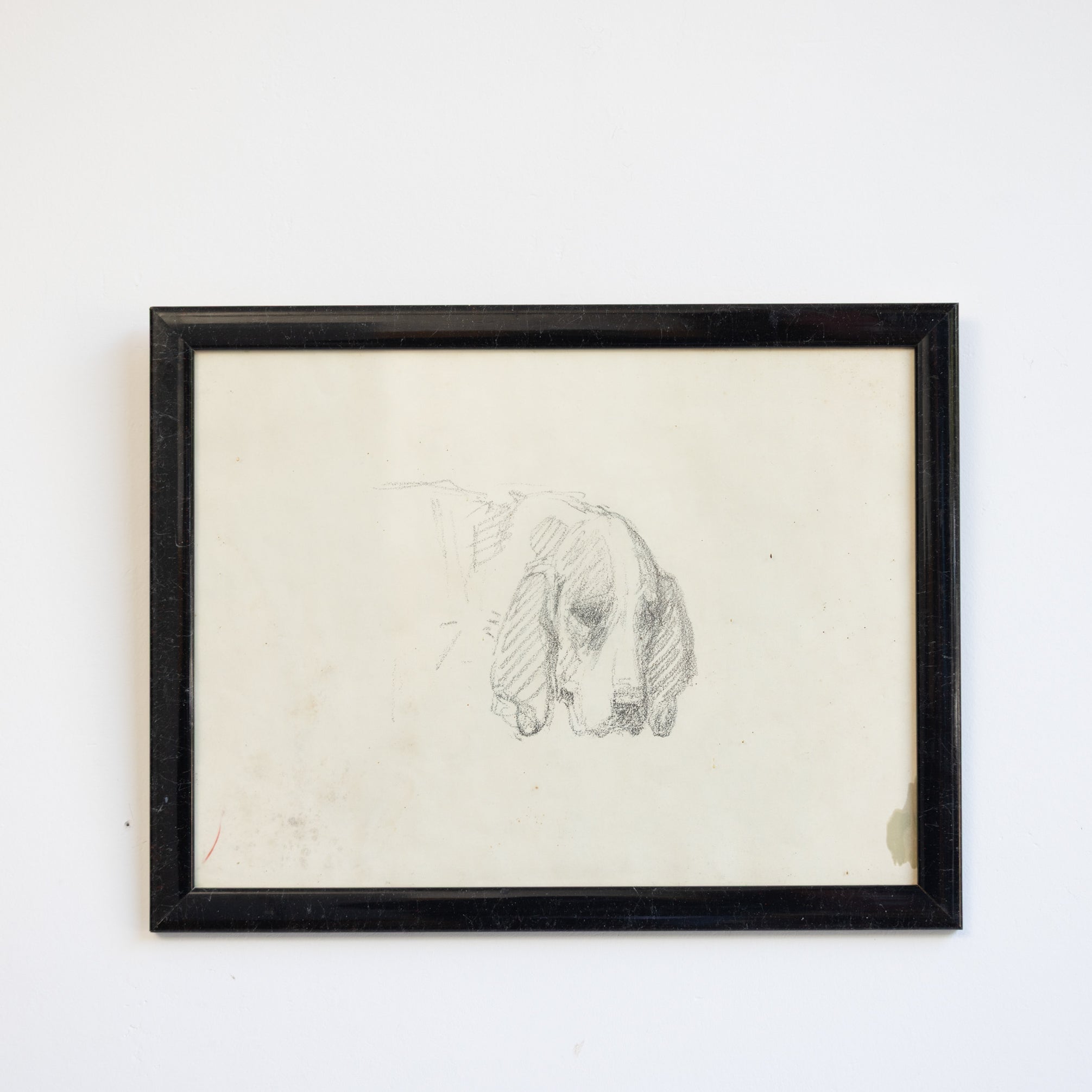 Simple Dog in Pencil Drawing - elsie green - art