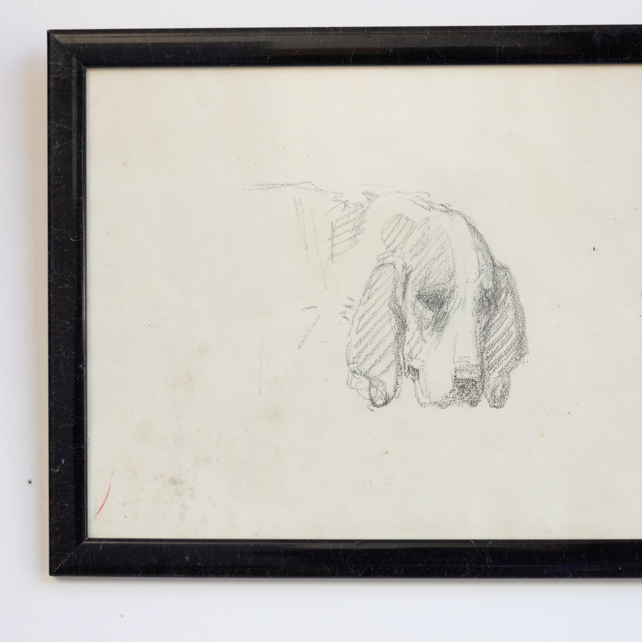 Simple Dog in Pencil Drawing - elsie green - art