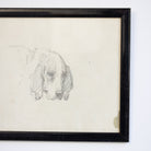 Simple Dog in Pencil Drawing - elsie green - art