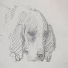 Simple Dog in Pencil Drawing - elsie green - art