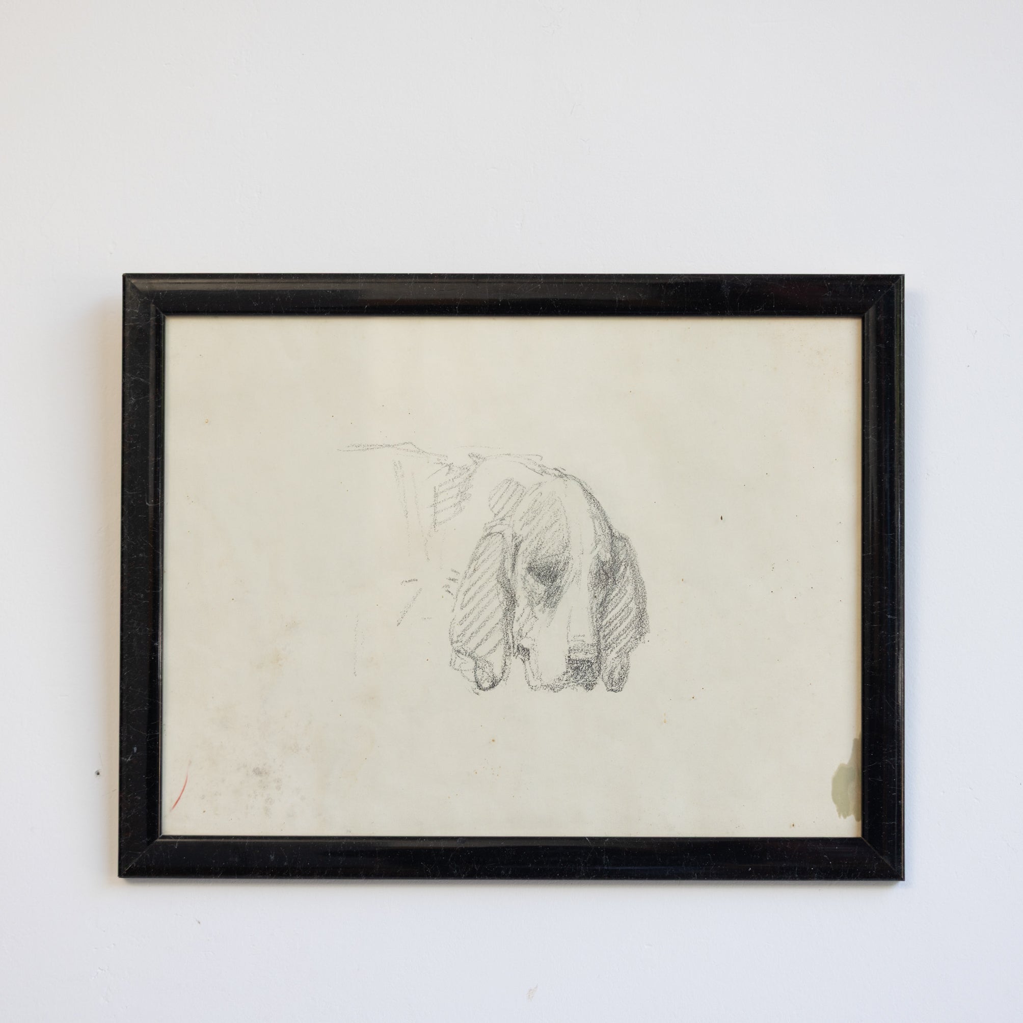 Simple Dog in Pencil Drawing - elsie green - art