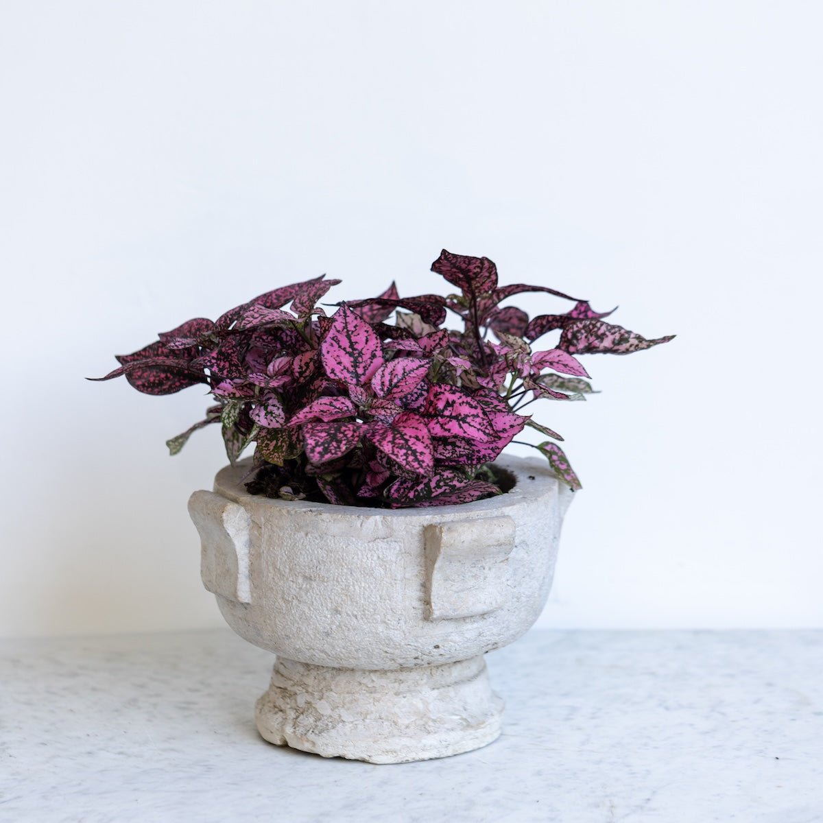 Stone Mortar - elsie green - The French Kitchen
