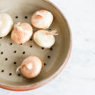 Stoneware Berry Bowl - elsie green - the french kitchen