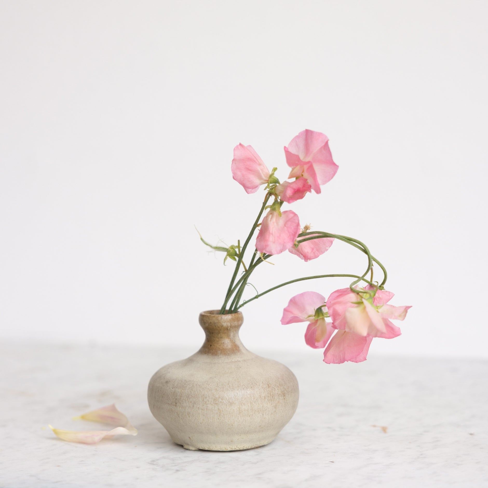 Stoneware Bud Vase | Signed by Artist - elsie green - art