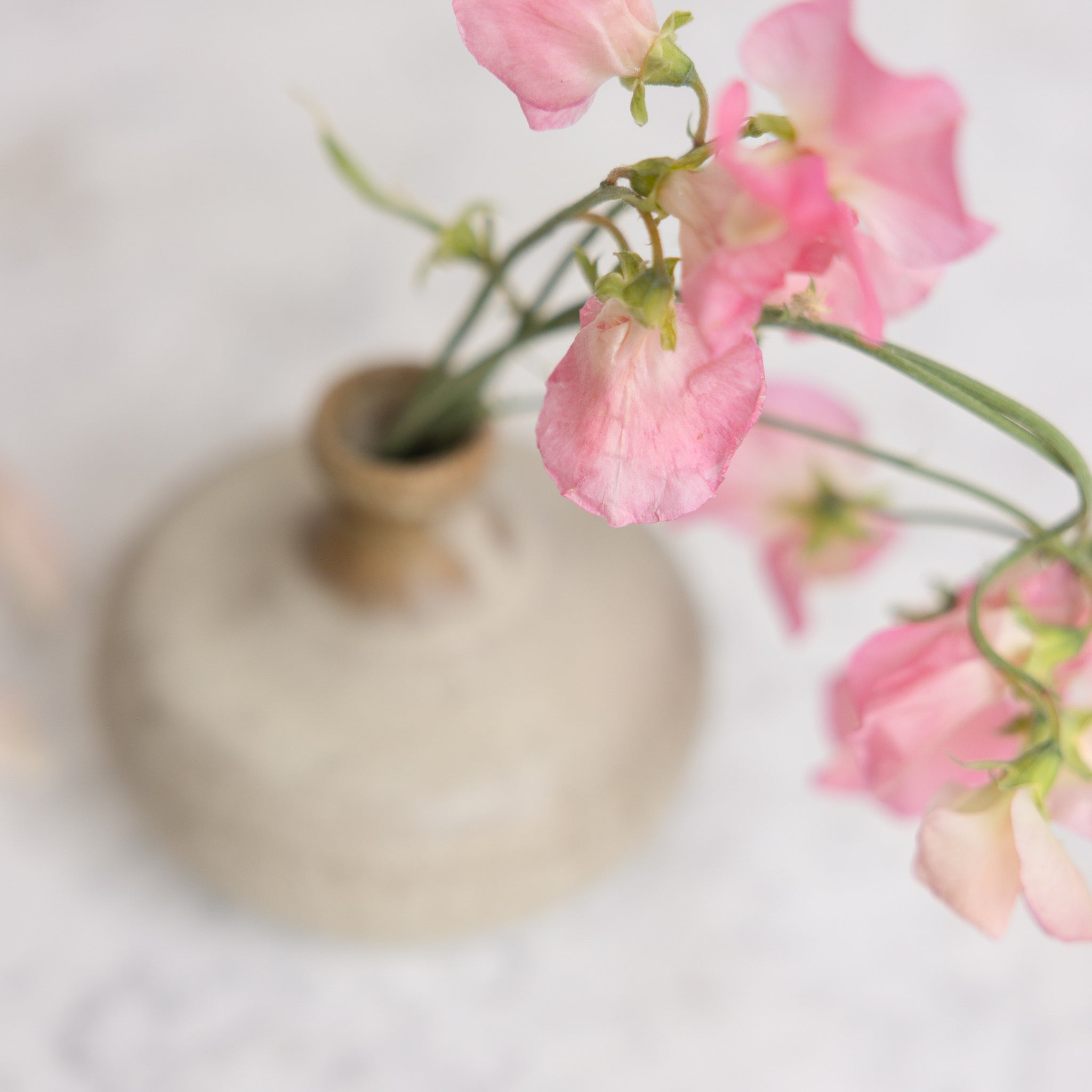 Stoneware Bud Vase | Signed by Artist - elsie green - art