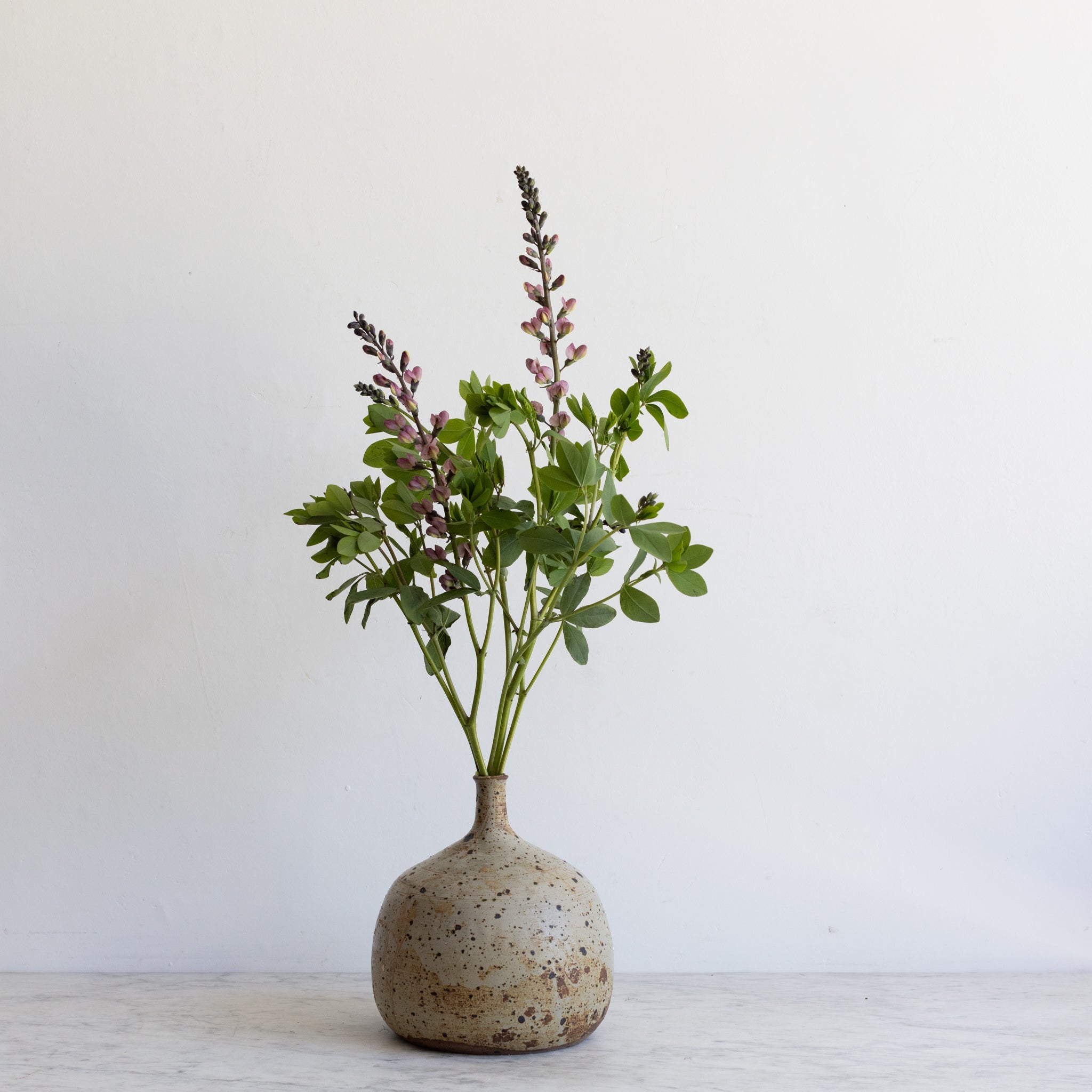 Stoneware Bud Vase | Signed by Artist - elsie green - decor