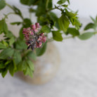Stoneware Bud Vase | Signed by Artist - elsie green - decor