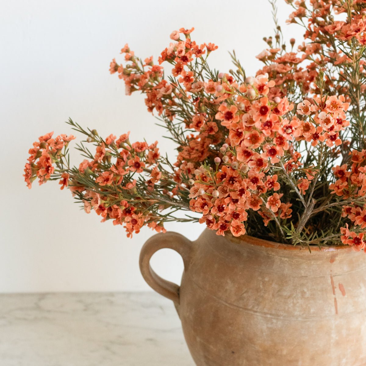 Stoneware Cream Pitcher - elsie green - the french kitchen