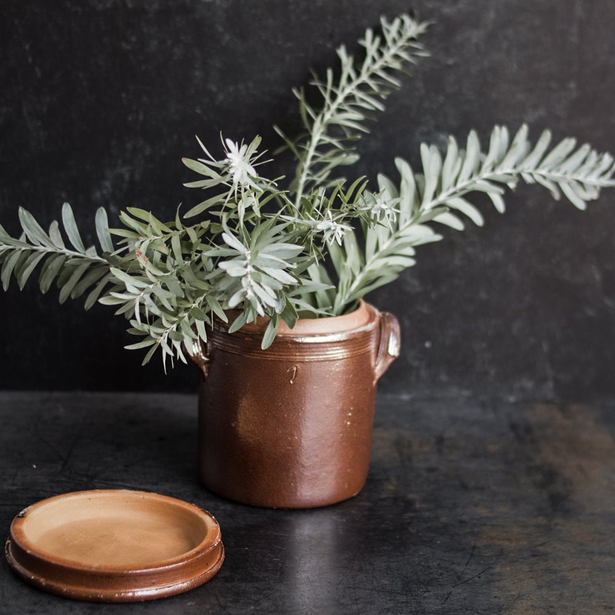 Stoneware Crock With Lid | Brown - elsie green - The French Kitchen