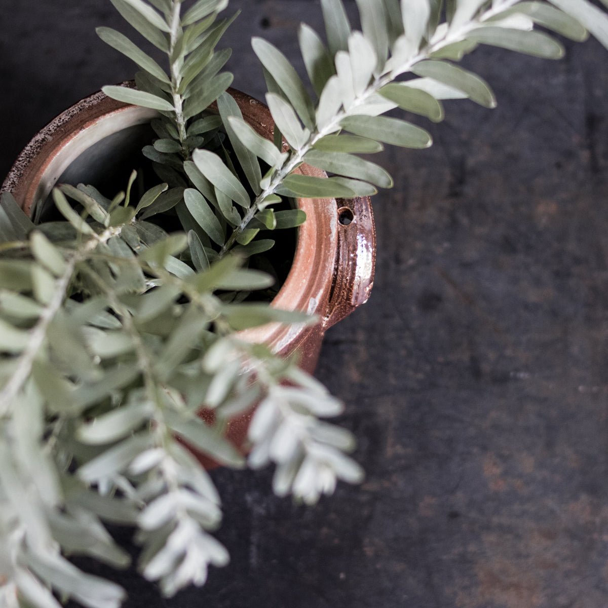 Stoneware Crock With Lid | Brown - elsie green - The French Kitchen