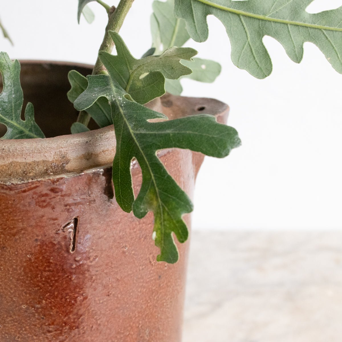 Stoneware Crock With Lid | Brown - elsie green - The French Kitchen