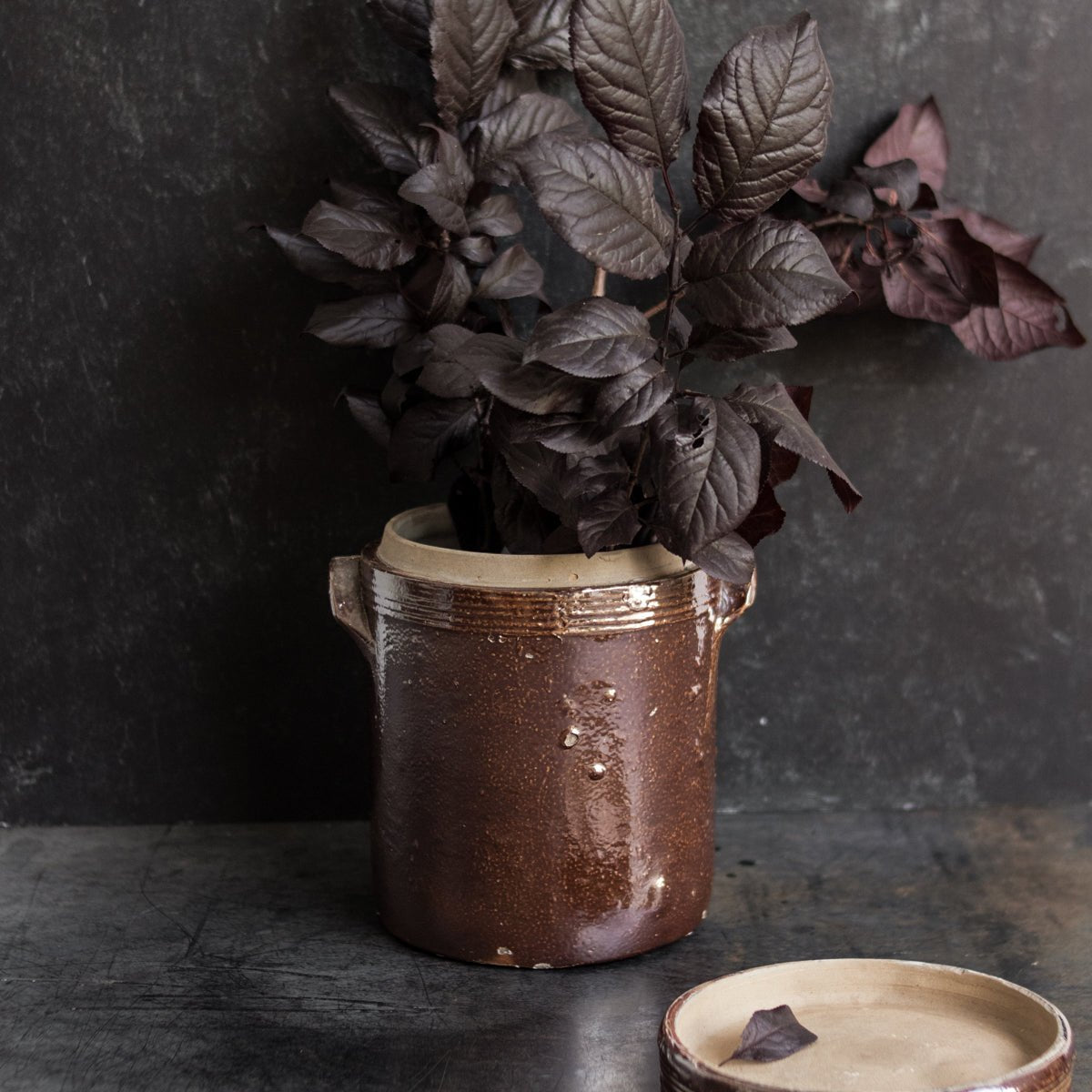 Stoneware Crock With Lid | Brown - elsie green - The French Kitchen