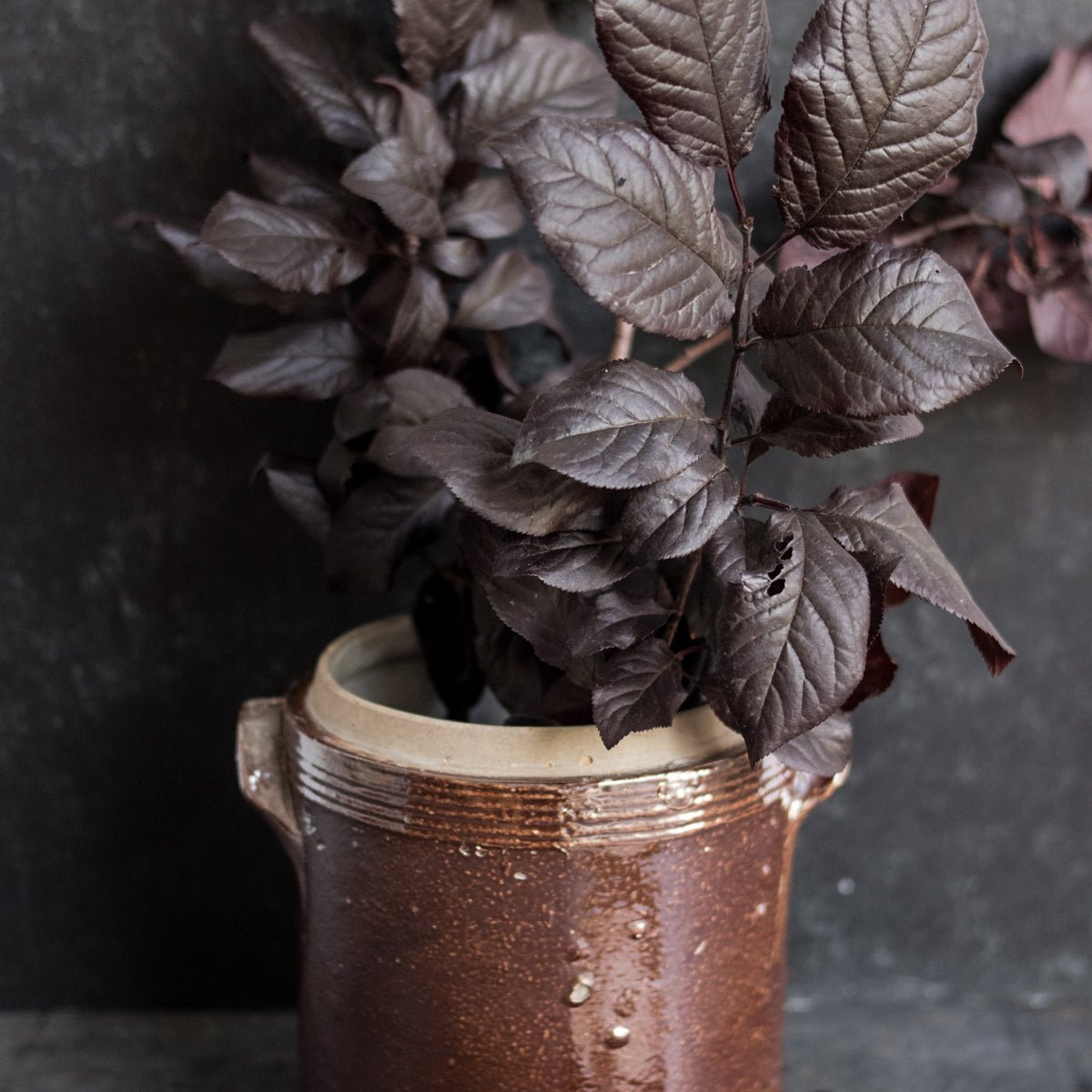 Stoneware Crock With Lid | Brown - elsie green - The French Kitchen