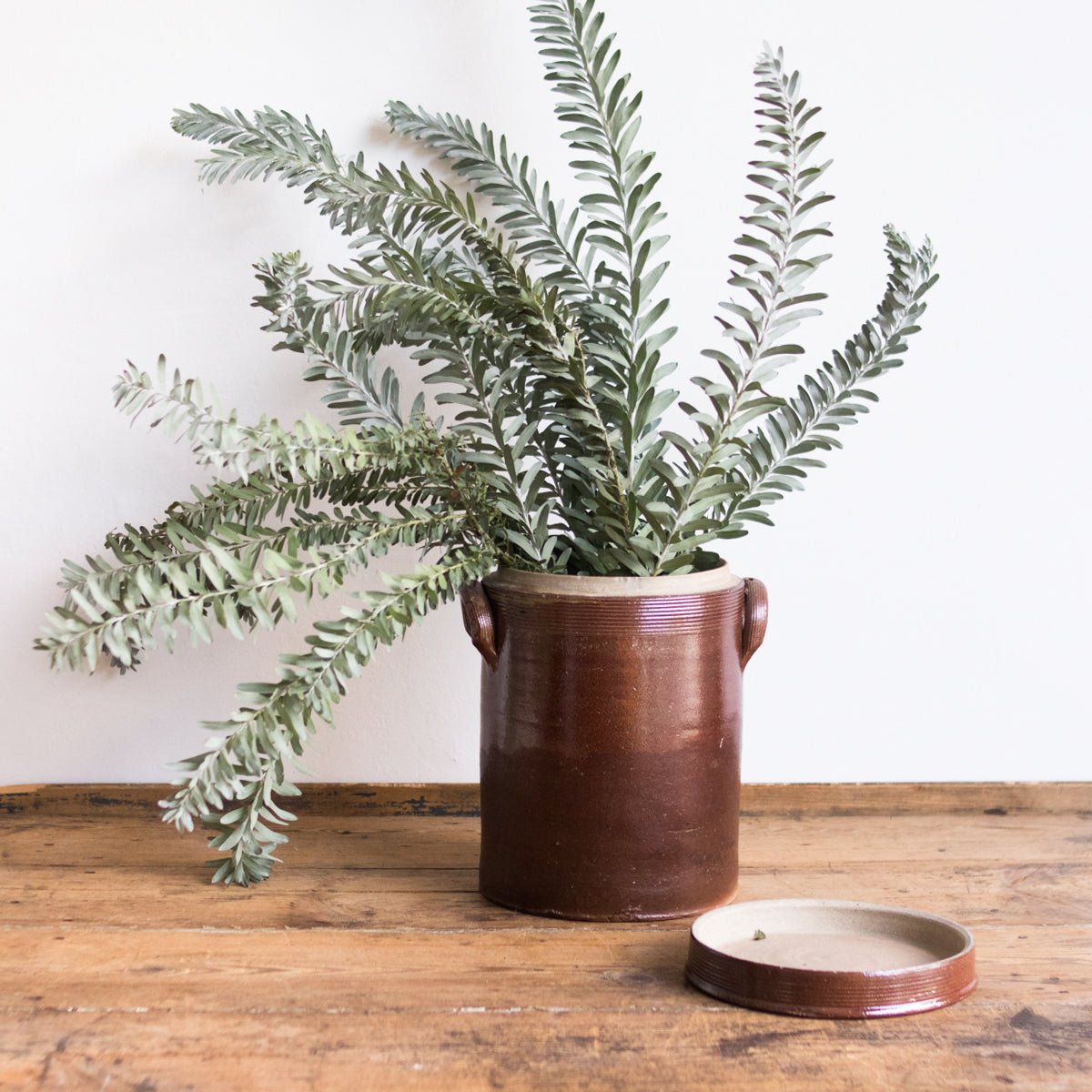 Stoneware Crock With Lid | Brown - elsie green - The French Kitchen