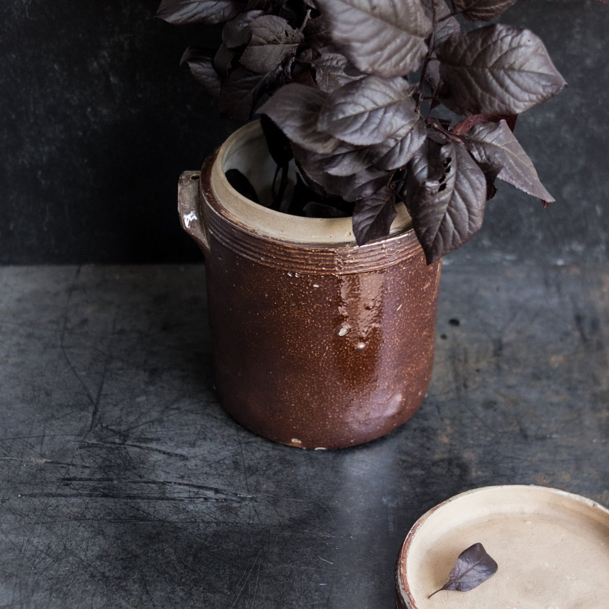Stoneware Crock With Lid | Brown - elsie green - The French Kitchen