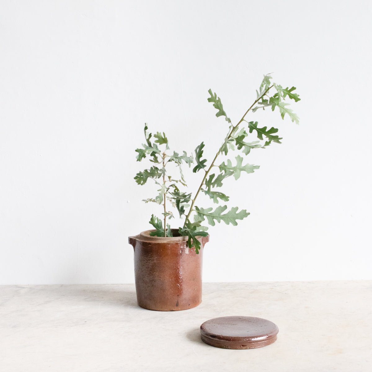 Stoneware Crock With Lid | Brown - elsie green - The French Kitchen