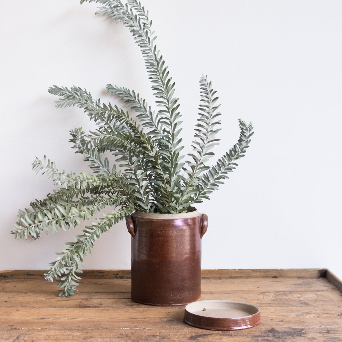 Stoneware Crock With Lid | Brown - elsie green - The French Kitchen