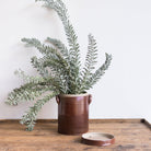 Stoneware Crock With Lid | Brown - elsie green - The French Kitchen
